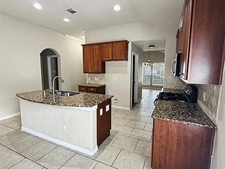 19523 Country Mountain Ct — Photo 12