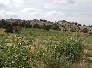 1009 Canon Ridge Rd, Canon City, CO 81212