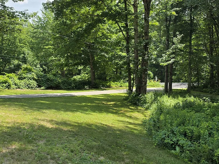 peaceful lot