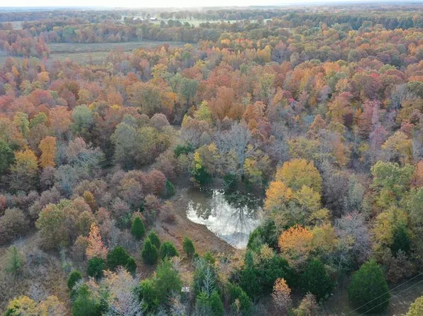 TRACT 2 Bobwhite Ln, Fairdealing, MO 63939