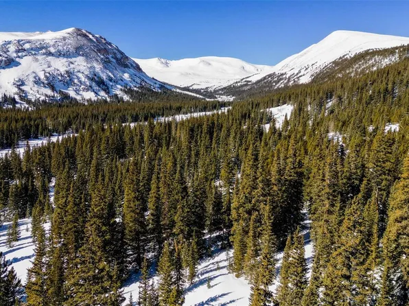 5769 Timberline Terrace LOT 1011, Fairplay, CO 80440