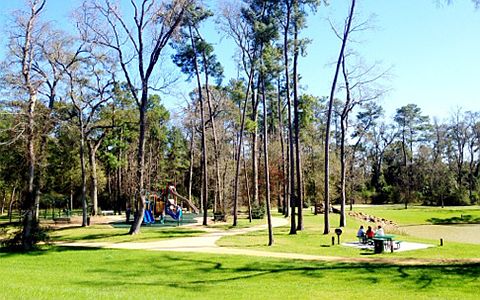 619 Santa Elena Canyon
