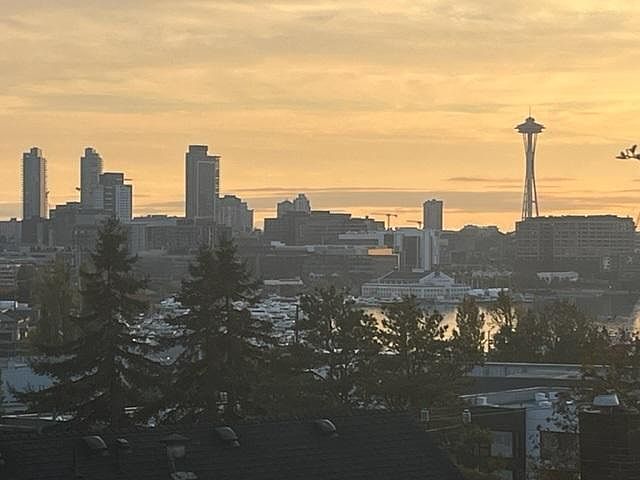 Actual view from your deck