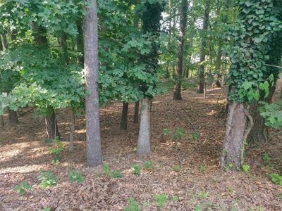 Gates Ln #7, Bella Vista, AR, 72714