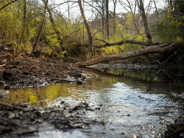 Prudes Creek Rd, Brookwood, AL 35444