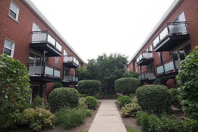 1st image of 6429 N Damen Ave APT 2S