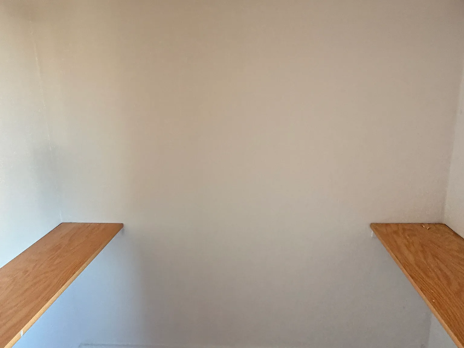 3 bed, $1,575 — Photo 3
