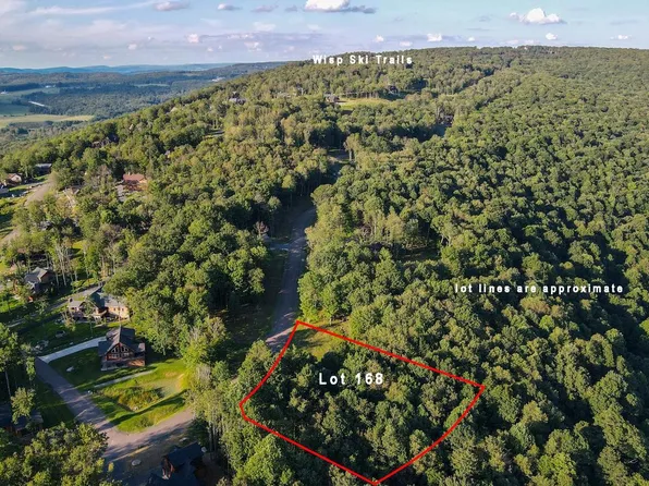 LOT 168 Fork Run Trl, Mc Henry, MD 21541