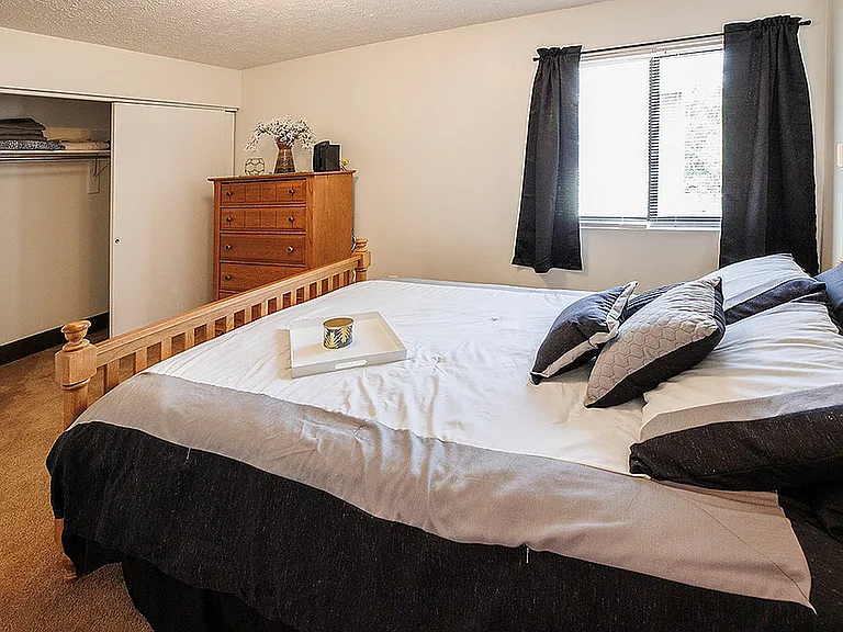 Cozy bedroom with natural light, featuring a comfortable bed, stylish dresser, and an open closet.