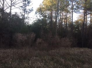 19801 Patillo Rd, Mount Vernon, AL 36560