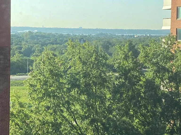 View from the window.