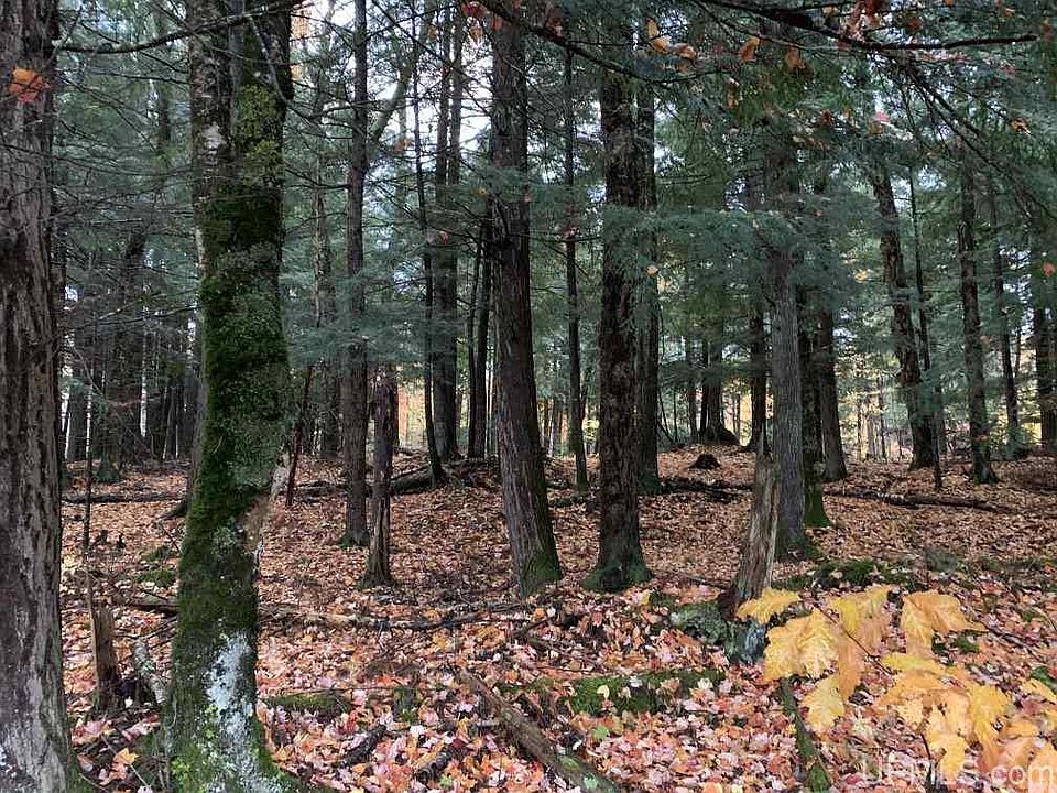 Tbd Skanee Rd, L'anse, MI 49946 Zillow