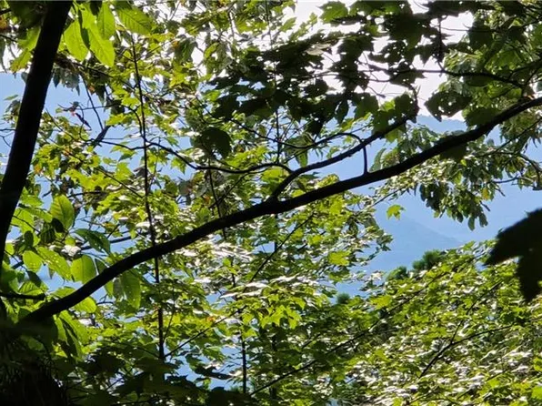 LOT 17 Abbott Mill Rd, Ellijay, GA 30540