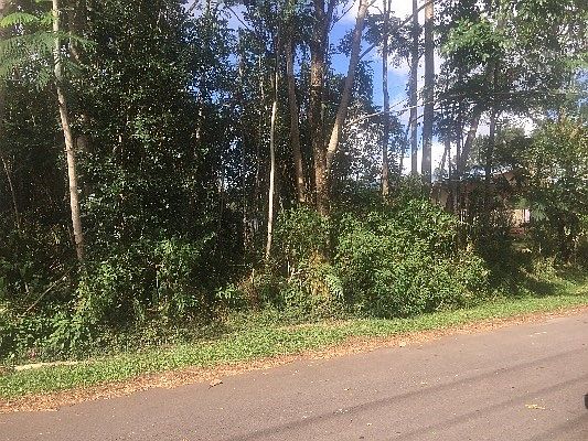 2nd image of 16-2040 Hapuu Dr Lot 4