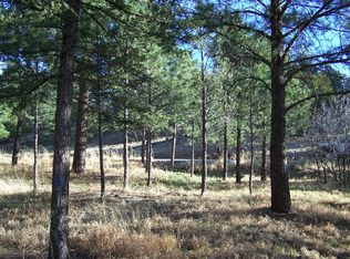 109 Convair Dr, Ruidoso, NM 88345