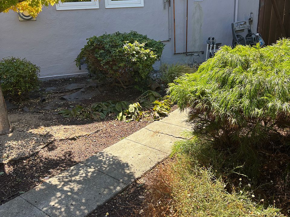 Backyard-2