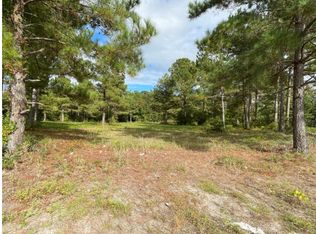 771 Dothan Rd, Tabor City, NC 28463