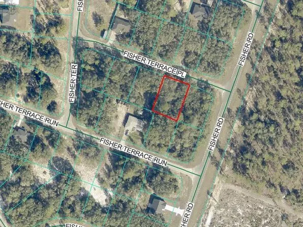 Lot 4 FISHER TERRACE PLACE LOT 4, OCKLAWAHA, FL 32179
