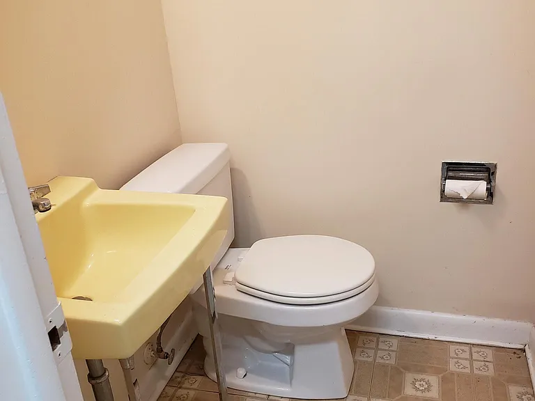 Lower level bathroom