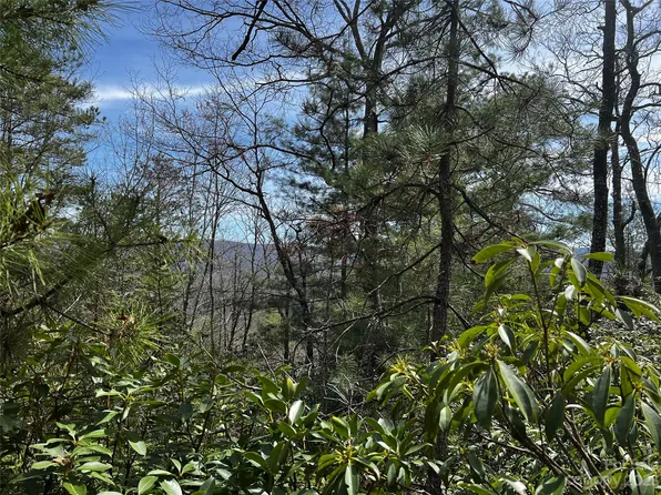 LOT M35 Pine Mountain Trl, Brevard, NC 28712