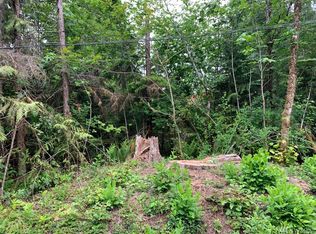 15010 Picket Ln, Glacier, WA 98244