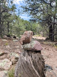 600 N Goldmine, Crestone, CO, 81131