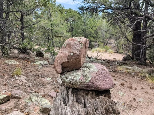 600 N Goldmine, Crestone, CO 81131
