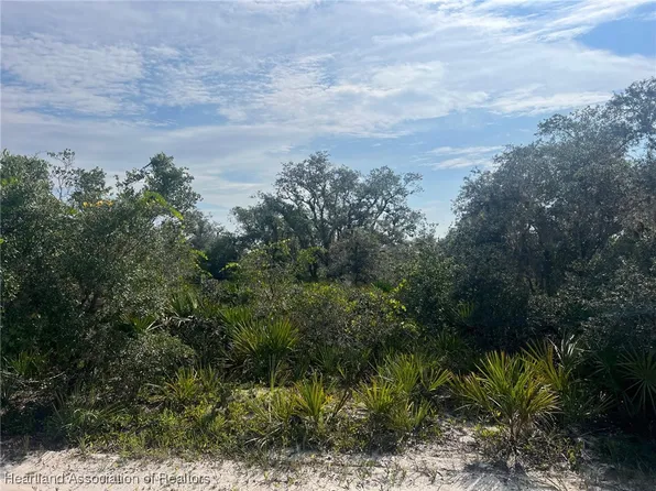 1911 S Nitschke Rd, Avon Park, FL 33825