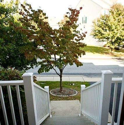 486 Glenn Rose Front Steps