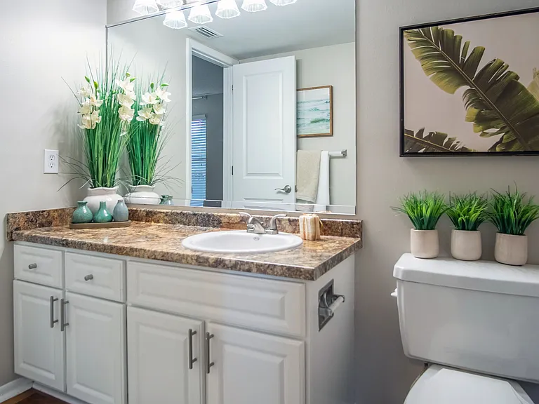 Discover the spaciousness and functionality of guest bathrooms, designed with generous counter space and dual entrances for added convenience.