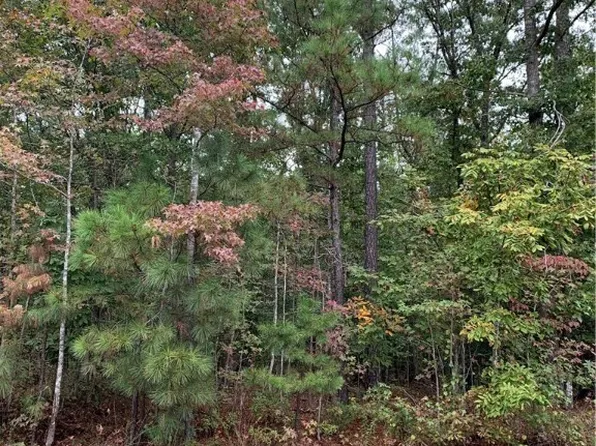 0 Easy St Lot 3, Disputanta, VA 23842