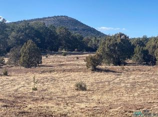 Xx Georgetown Rd, Silver City, NM 88061