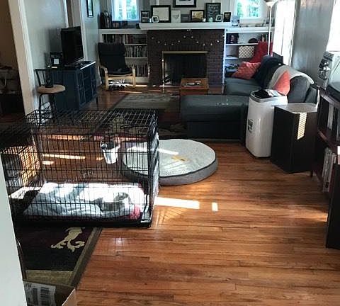 2nd image of 1257 W Clifton Blvd Fl 1ST