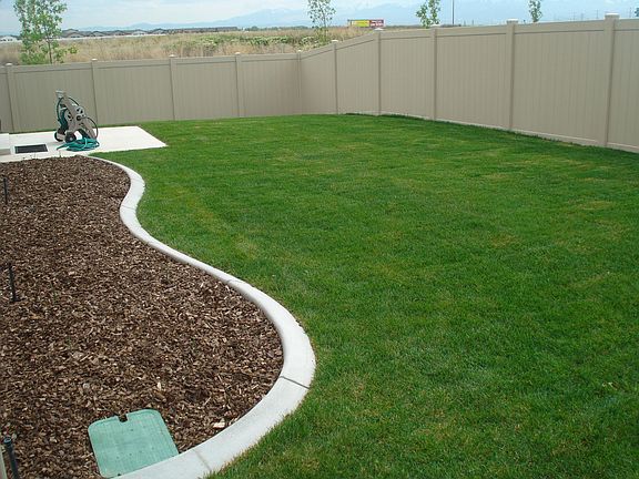 Back yard