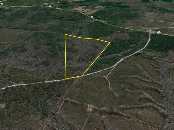 PARCEL 1A James Posey Rd, Junction City, GA 31812