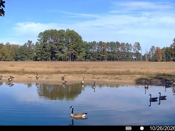 0 Arthur Kirk Rd, Beebe, AR 72012