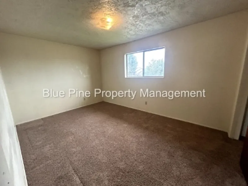 2 bed, 1.0 bath, 800 sqft, $1,000 — Photo 4