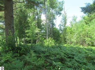 63 White Pine Dr, Cadillac, MI 49601