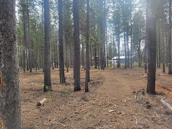 2nd image of 16100 Lava Dr