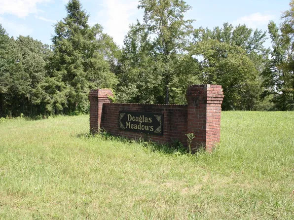 167 Douglas Meadows Cv, Cedar Grove, TN 38321