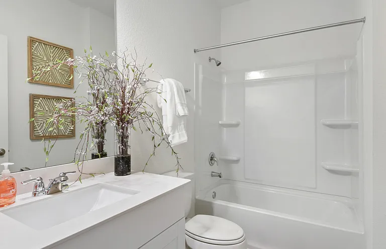 Beacon at Vine Creek Rental Homes — Photo 13