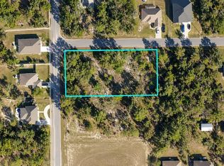 12194 LABRADOR DUCK ROAD LOT 1, WEEKI WACHEE, FL 34614