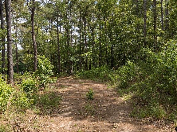 2nd image of 630 County Road 3953