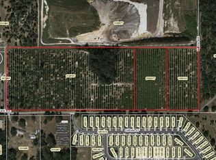 2003 Robie Ave, Mount Dora, FL 32757