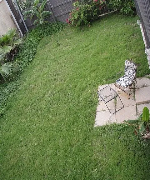 PRIVATE FENCED BACKYARD