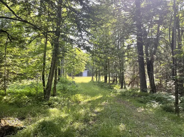 N15846 BASS LAKE ROAD, Park Falls, WI 54552