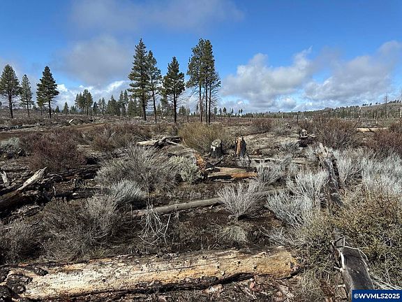 4th image of L 35 Mountain Quail Ln
