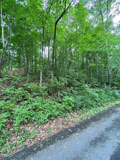 1st image of 4805 Shady Dell Trl
