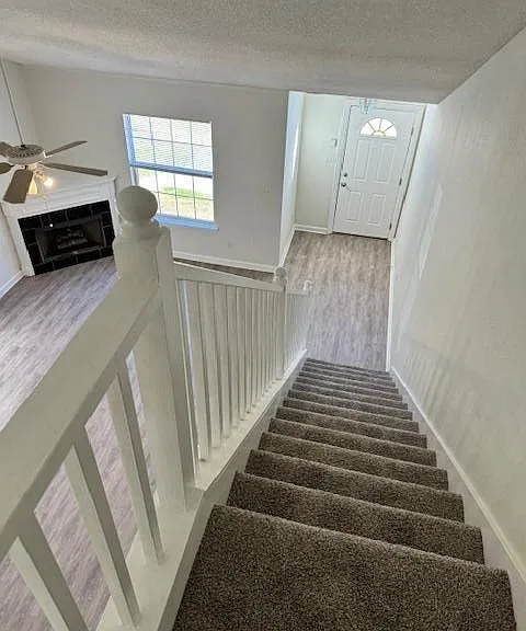 2820 Saw Palmetto Ln — Photo 6