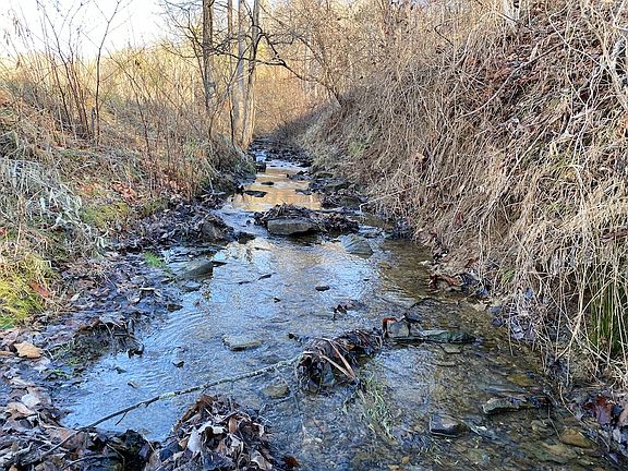 Small seasonal creek flowing along the east boundary and road